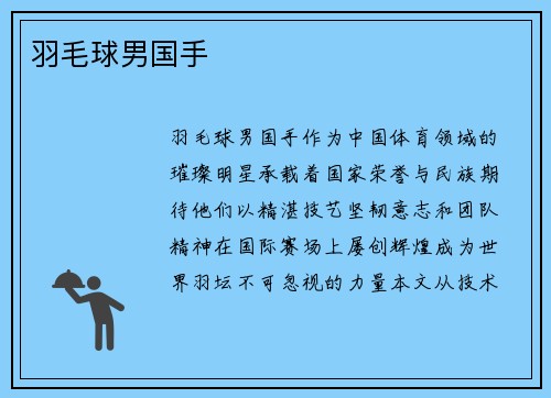 羽毛球男国手